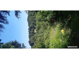 Terrain boisé non constructible