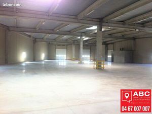 Local d'activité 1 073 m²