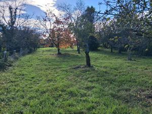 Terrain situé à Noé de 1493 m 2 constructible et éventuellement divisible.