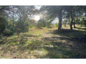Terrain Ollioules m² T- à vendre  245 000 €