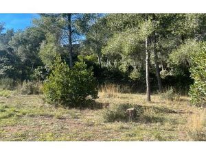 Terrain Ollioules m² T- à vendre  265 000 €