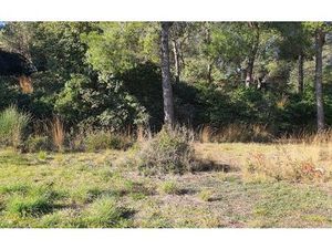 Terrain Ollioules m² T- à vendre  265 000 €