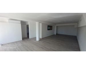 Location locaux professionnels 350 m² à La possession (97419)  4 000 €