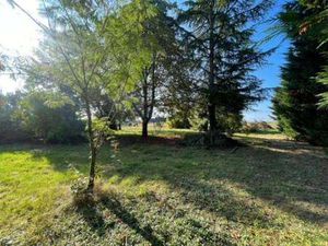 Vente Terrain à Savennières (49170) : à vendre / 1349m² Savennières