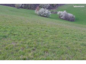 Grand terrain sur les hauteurs à 10 mn de Montauban