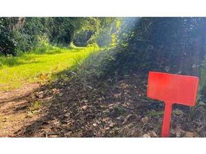 Vente Terrain à Combrit (29120) : à vendre / Combrit