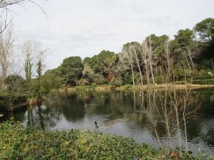 Location Appartement 3 pièces 51m² SIX FOURS LES PLAGES 83140