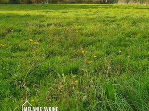 Vente Terrain au Thou (17290) : à vendre / 2140m² Le Thou