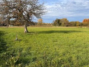 Vente terrain 1404 m² Sainte-Florence (33350)