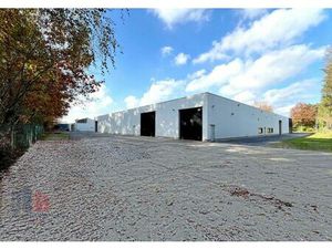 Surface industrielle à louer à Stadsheide 37 Hasselt (RBU72297)