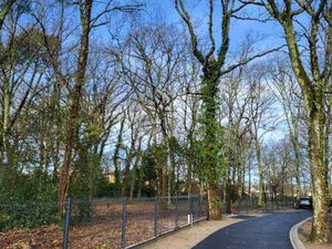 Vente terrain 906 m² Audenge (33980)