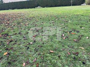 Vente terrain 1326 m² Artannes-sur-Thouet (49260)