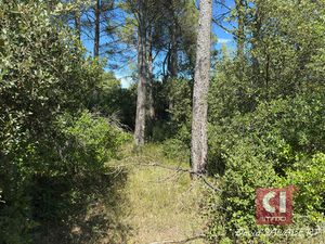 Terrain à vendre à Garéoult - Référence 2203