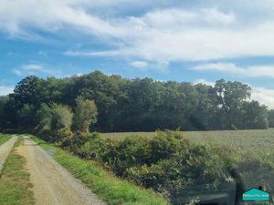 Vente Terrain à La Garnache (85710) : à vendre / 5160m² La Garnache