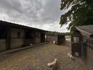 7 box à chevaux avec piste et autres avantages