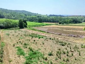 Vente terrain 1400 m² à Saint-Martin-de-Villereglan (11300)  39 990 €