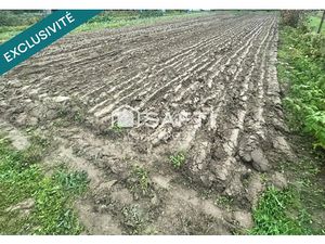 Vente terrain 891 m² à Baule (45130)  22 000 €