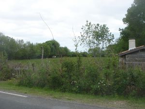 Bégadan Cabane de chasse / Terrain de 5850m2