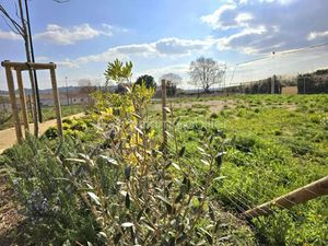 Vente terrain 490 m² à Gignac (34150)  130 000 €