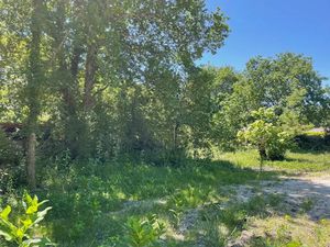 Vente terrain 350 m² à Lacanau (33680)  225 000 €