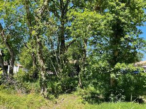 Vente terrain 350 m² à Lacanau (33680)  245 000 €