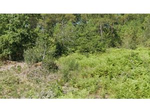 Vente terrain 2000 m² à Saint-Aubin-de-Médoc (33160)  300 000 €