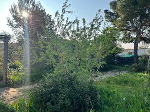 TERRAIN avec projet de 4 maisons