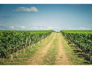 Vente Maison à Saint-Émilion (33330) : à vendre / 300m² Saint-Émilion