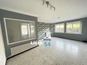 Vente immeuble 210 m² à Houdelmont (54330)  165 000 €
