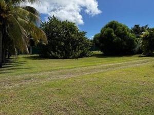 À vendre Superbe terrain plat à Saint-François  Guadeloupe