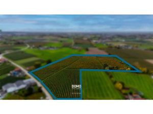 AGRARISCH GELEGEN PERCELEN BESTEMD ALS WEILAND EN BOOMGAARD TE KOOP IN HERK-DE-STAD