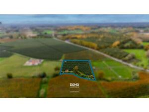 PRACHTIG GELEGEN BOOMGAARD VAN 75A15CA TE KOOP TE HERK-DE-STAD