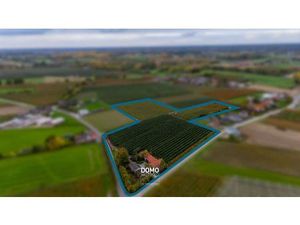 PRACHTIG GELEGEN HOEVE TE KOOP OP EEN PERCEEL VAN 3HA 55A 31CA TE HERK-DE-STAD