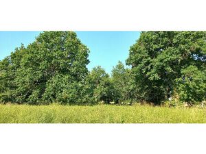 Vente terrain 3300 m² Montpon-Ménestérol (24700)