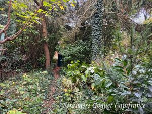 Terrain à vendre LE MANS 400m2 171 600€