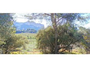 Vente terrain 1168m2 Cassis 13260 - 1150000 € - Surface Privée