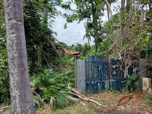 Terrain constructible viabilisé à vendre