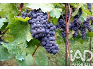 Vente Terrain à Lalande-de-Pomerol (33500) : à vendre / 20000m² Lalande-de-Pomerol