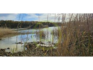 Vente terrain 72500 m² Mézières-en-Brenne (36290)