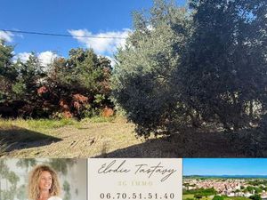 Terrain constructible