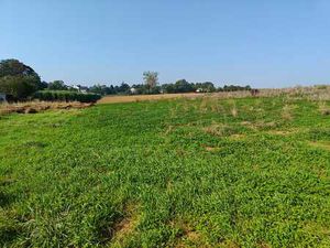 Terrain à batir pour villa 4 façades | libre de construct...