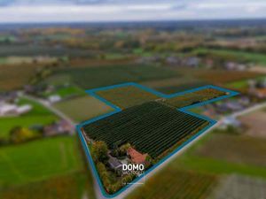 Terrain à vendre à Herk-de-Stad € 590.661 (LHGZP) - Domo Vastgoed | Zimmo