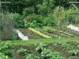 Jardin potager location