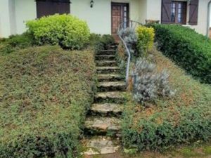 Location maison 6 pièces 127 m² à Saint-Martin-en-Bresse (71620)