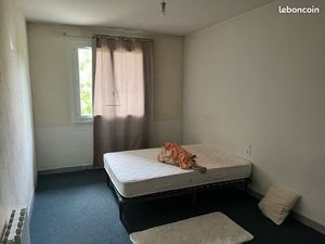 À louer molinges appartement T 1 bis 30 m2