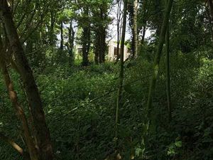 Vente Terrain à 1180 Uccle – route de Linkebeek