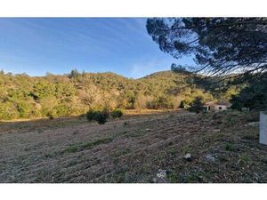 Terrain Montauriol m² T- à vendre  185 000 €