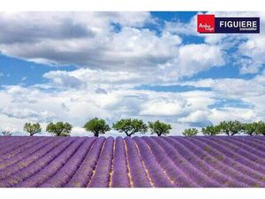 Local commercial à louer