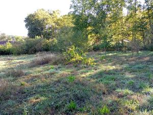 Vente terrain 1105 m² à Tresses (33370)  130 000 €