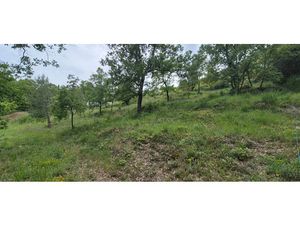 Vente terrain 1338 m² à Saint-Paul-en-Forêt (83440)  150 000 €